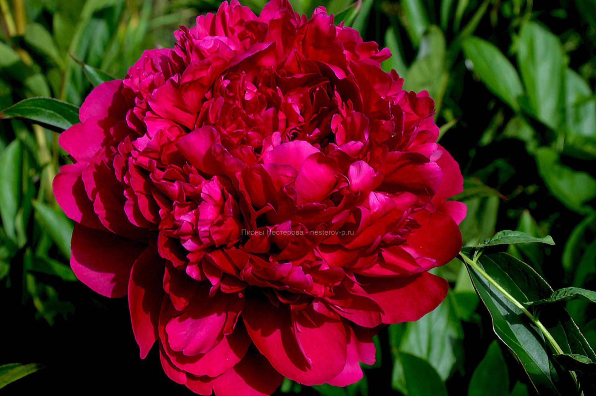 Скарбница/Skarbnica