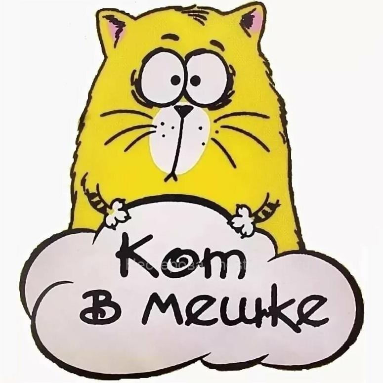 Фразеологизм кот в мешке